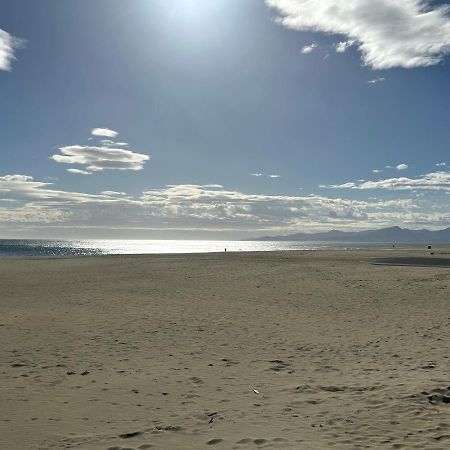 Villa Natura 3 Chambres 80M2 Jacuzzy Canet-en-Roussillon Eksteriør billede